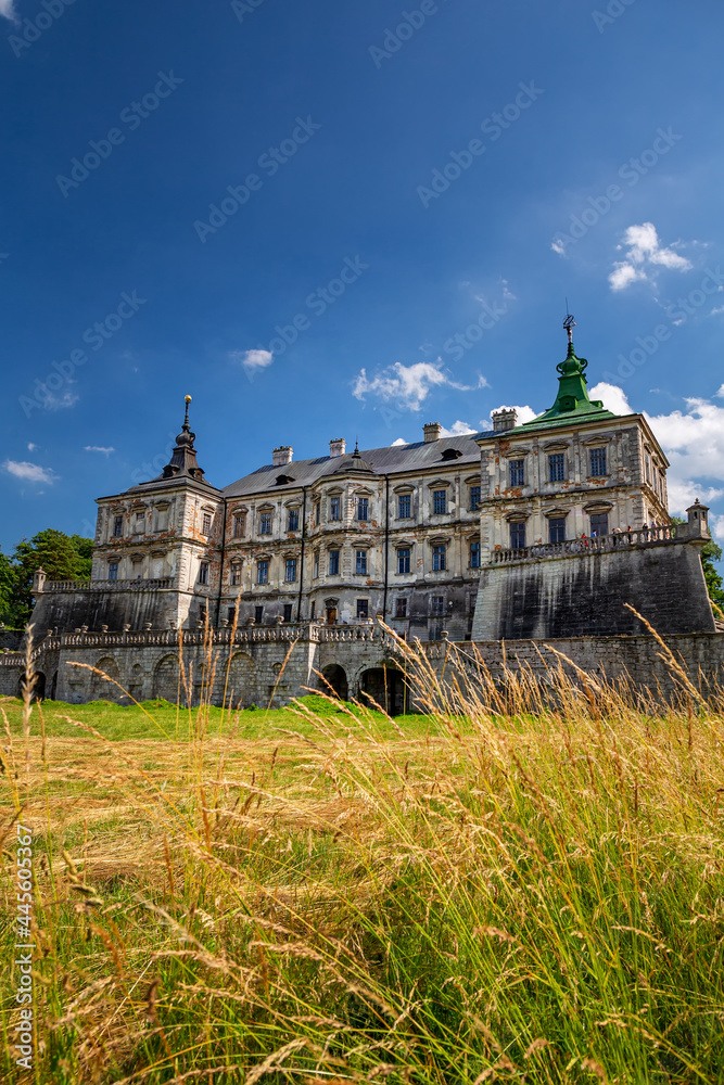 Old Pidhirtsi Castle, village Podgortsy, Lviv region, Ukraine