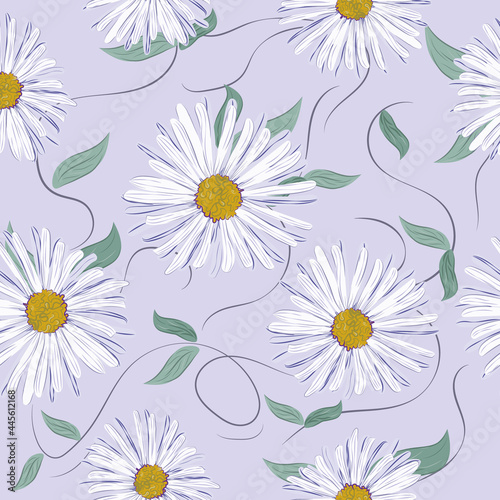 Vector floral background. Background from Aster flowers. Vector illustration