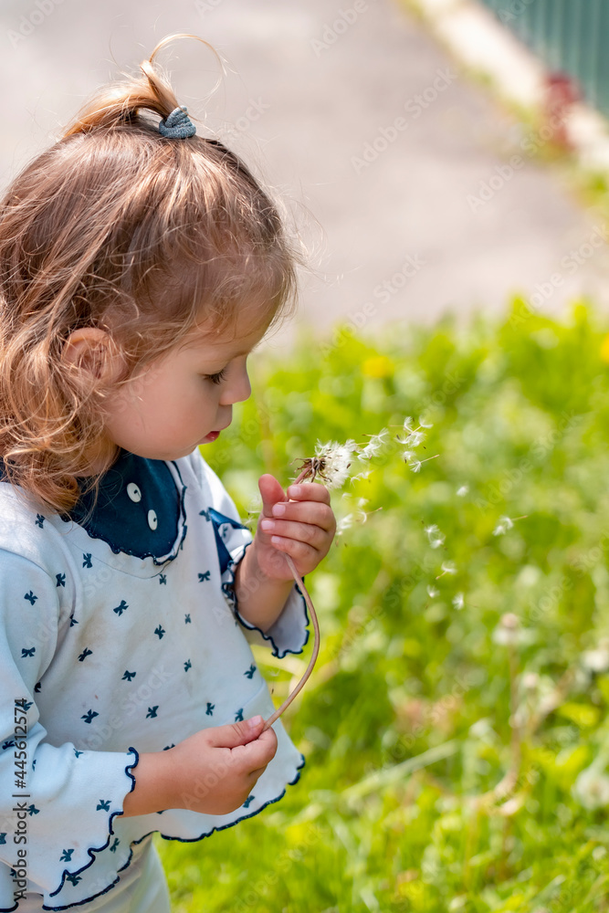 Adorable cute little baby girl blowing on dandelion flower in summer outdoors. Happy kid having fun in park Adorable cute little baby girl blowing on dandelion flower in summer outdoors. Happy kid having fun in park