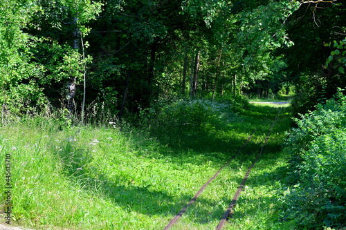 A close up on railroad tracks leading to a destination through a dense forest or moor and a meadow overgrown with grass seen on a sunny summer day on a Polish countryside during a hike