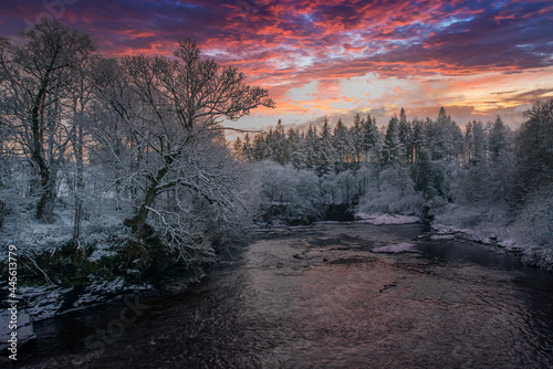 sunset in the forest