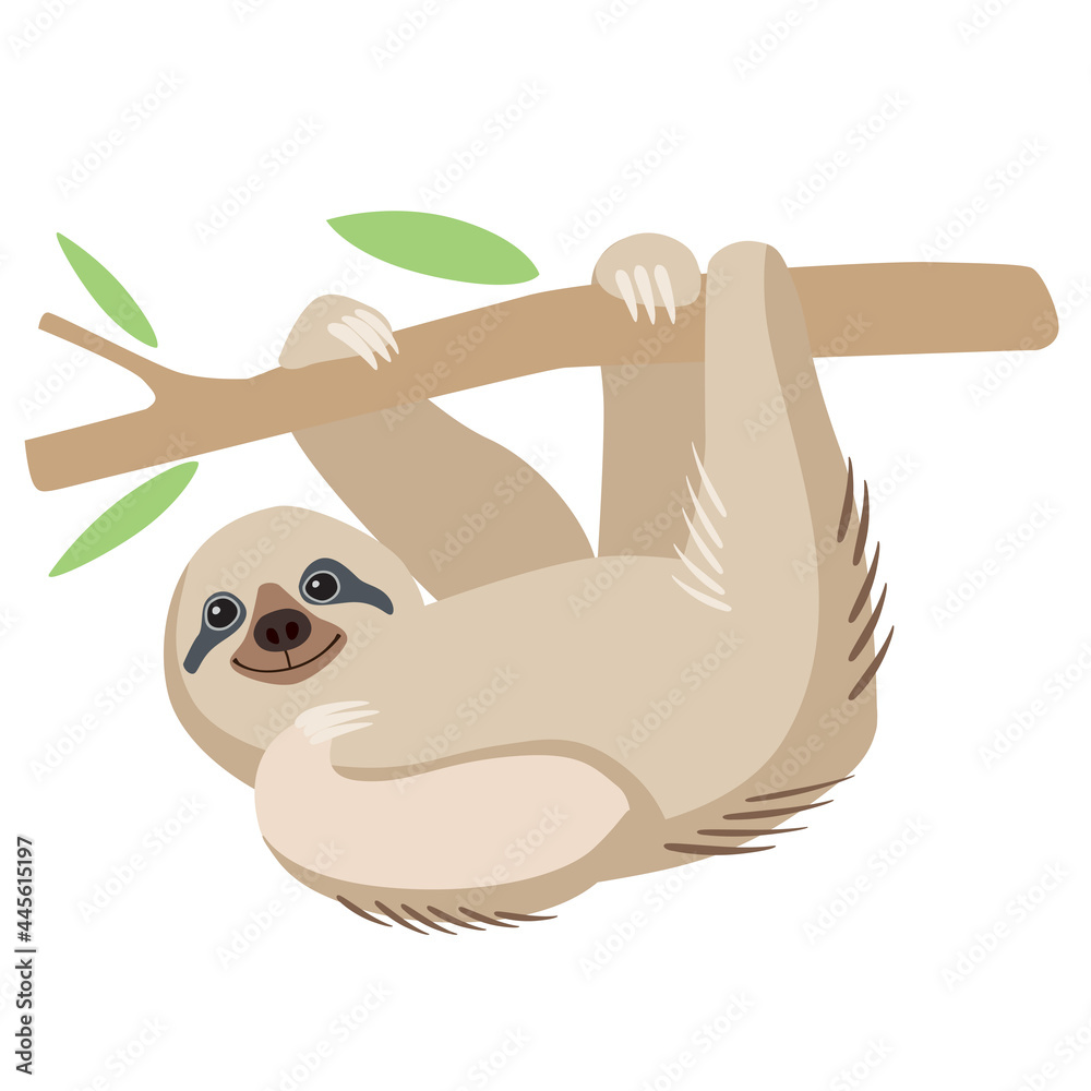 Fototapeta premium A cute cheerful sloth hangs on a branch and smiles. Holds with paws. Vector graphics