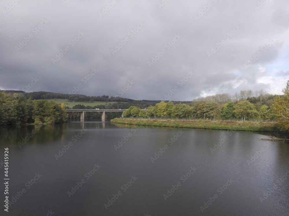 Obraz premium bridge over river in the forest