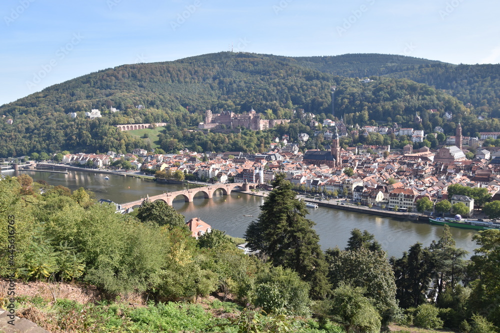 Heidelberger Altstadt als Panoramablick vom Pilgerweg aus gesehen