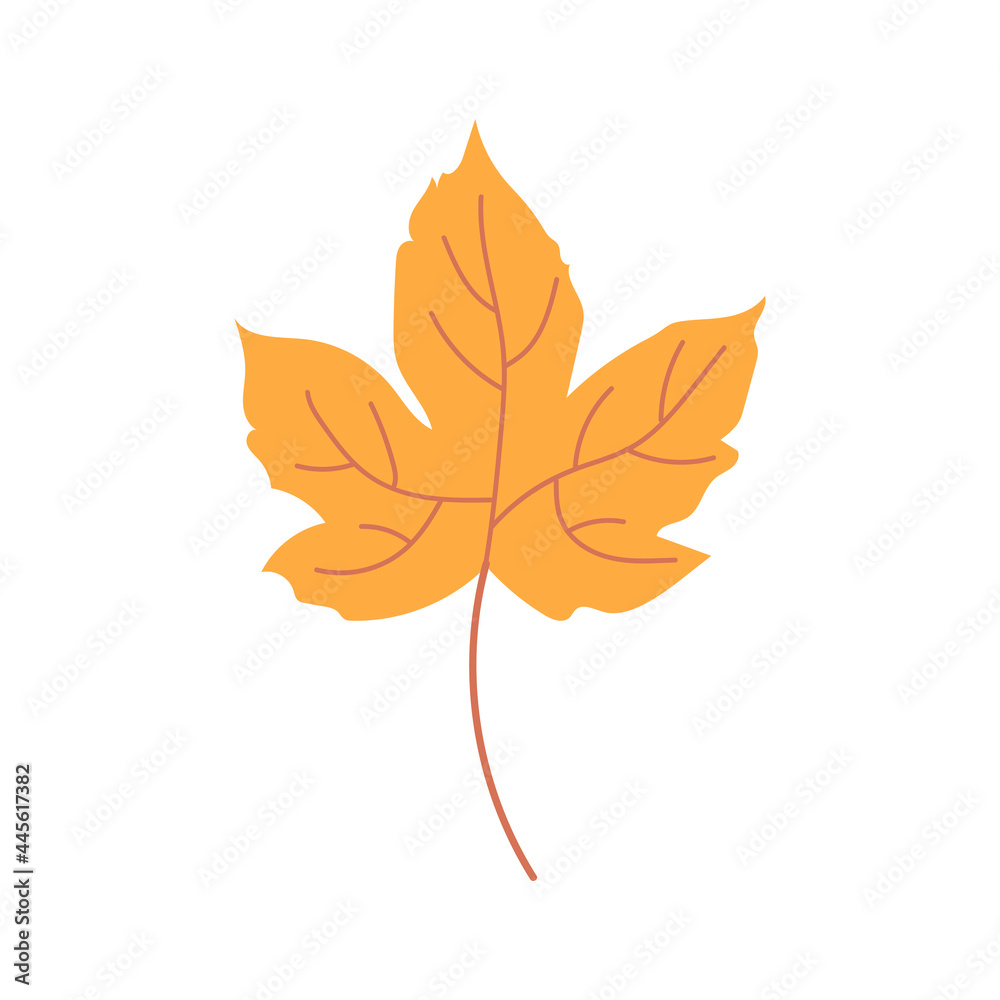 Obraz premium Autumn leaves. Icon. For decoration of postcards, prints, design. Vector.