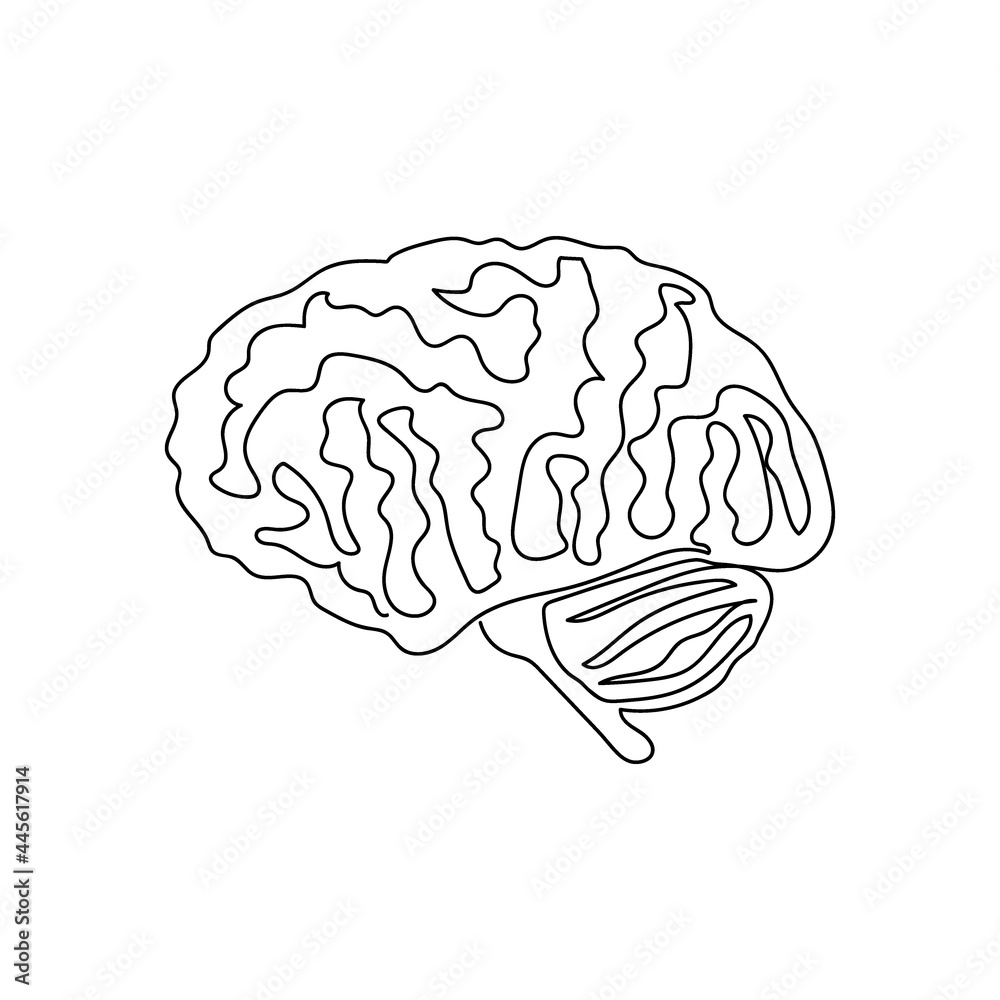 Half a brain one line art. Continuous line drawing of human, internal, organ, head, gray matter, cerebellum, brainstem. Half a brain one line art. Continuous line drawing of human, internal, organ, head, gray matter, cerebellum, brainstem.
