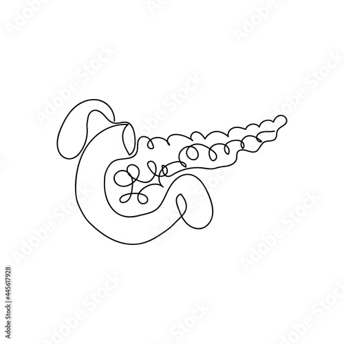 Pancreas one line art. Continuous line drawing of human, internal, organs, pancreas, gastrointestinal tract, duodenum, gallbladder.