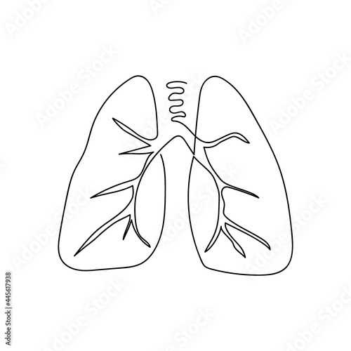 Lungs one line art. Continuous line drawing of human, internal, organs, lungs, bronchi, trachea, alveoli, bronchioles.