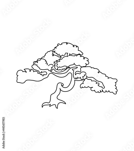 Japanese tree, bonsai one line art. Continuous line drawing of plants, tree, wood, flora, deciduous tree, african trees, baobab, acacia umbrella, savanna.