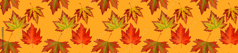 Pattern autumn leaf on orange background. Pattern autumn leaf on orange background.