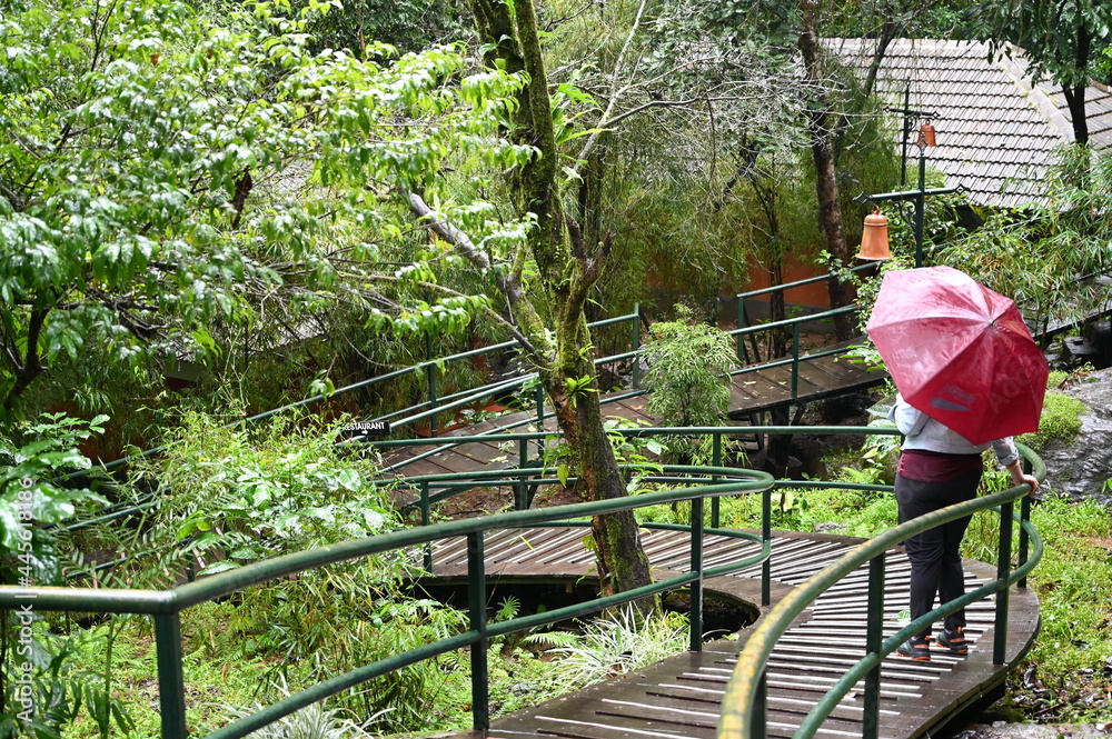 woman over bridge under umbrella in rainy lush green season woman over bridge under umbrella in rainy lush green season