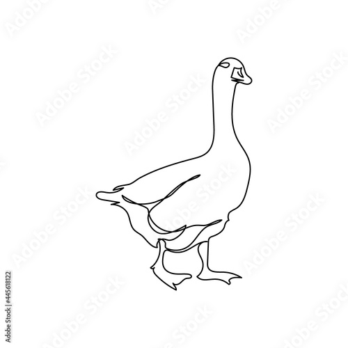 Goose one line art. Continuous line drawing of poultry, domestic animal.