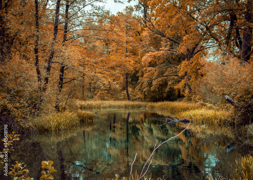 Fototapeta Naklejka Na Ścianę i Meble -  Barwy jesieni nad rozlewiskiem