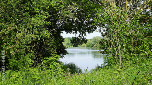 Εκτύπωση καμβά Natural view of trees and a calm lake in the University of East Anglia in Norwic
