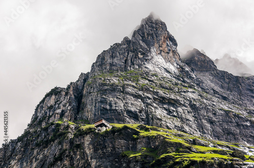 Grindelwald, Wetterhorn, Wanderweg, Grosse Scheidegg, Milchbach, Oberer Grindelwaldgletscher, Glecksteinhütte, Berglistock, Alpen, Berner Oberland, Sommer, Schweiz