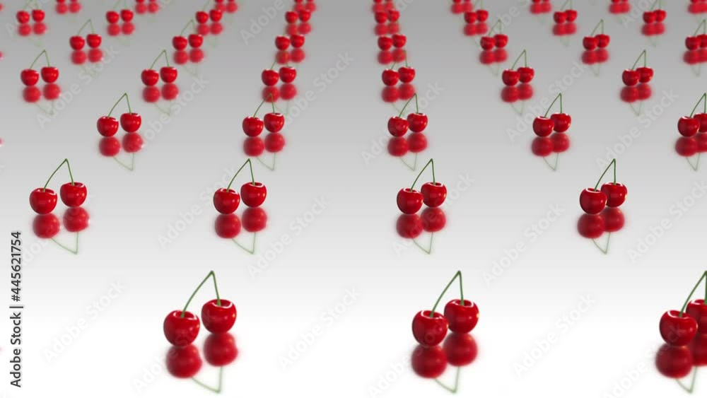 Red cherries on white background loopable animated video. Red cherries on white background loopable animated video.
