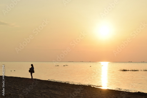 person walking on the beach at sunset © tanzelya888