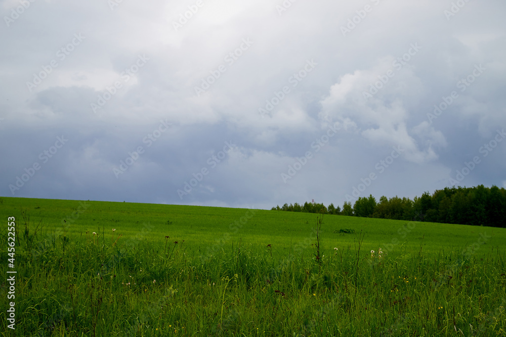 Green field and clouds on sky. Green field landscape. Dramatic blue cloudy sky background Green field and clouds on sky. Green field landscape. Dramatic blue cloudy sky background