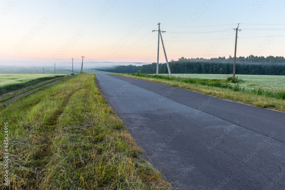 rural road in the morning amongst grain fields