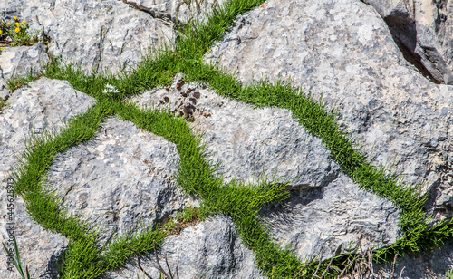 There are always nice surprises in nature. The beautiful picture that the grass creates on the rock