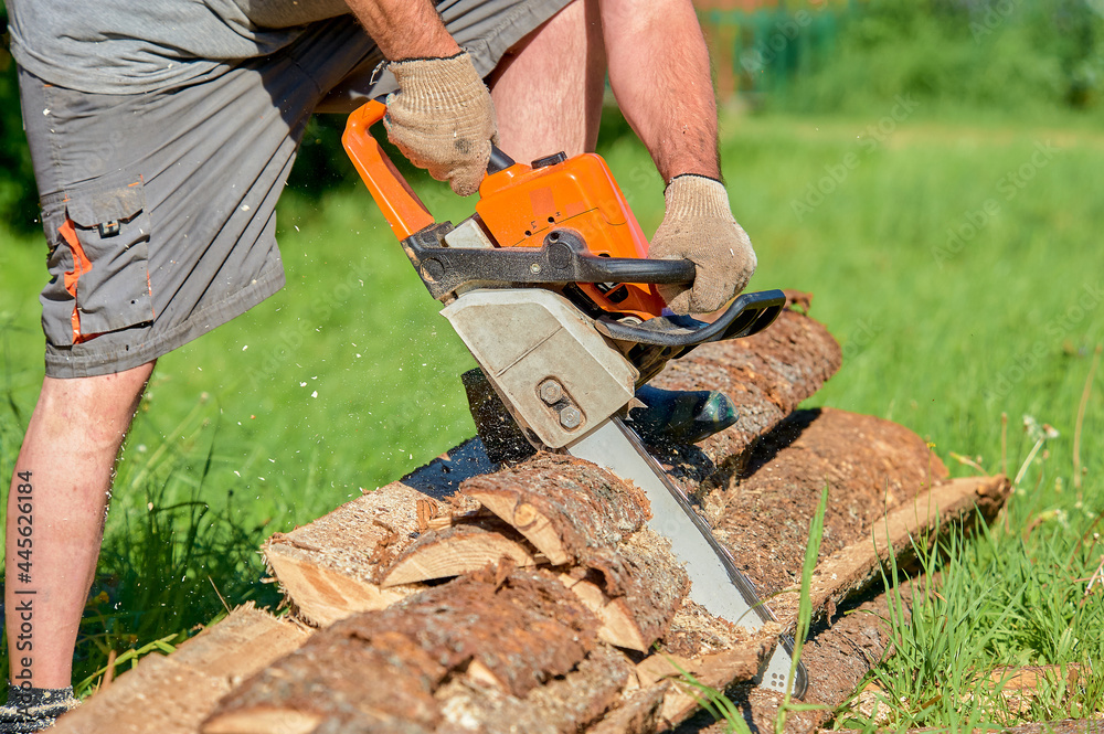 sawing timber with a chainsaw on a sunny day in summer sawing timber with a chainsaw on a sunny day in summer