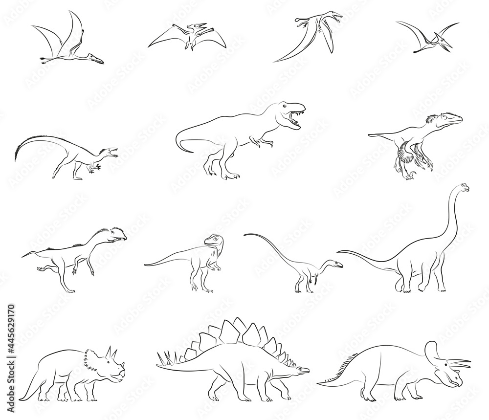 14 Dinosaurier Zeichnungen Konturen Vektor Grafik Lineart