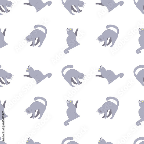 Cats pets seamless pattern. Seamless pattern with gray stretching purring kittens. Stock vector illustration on a white background.