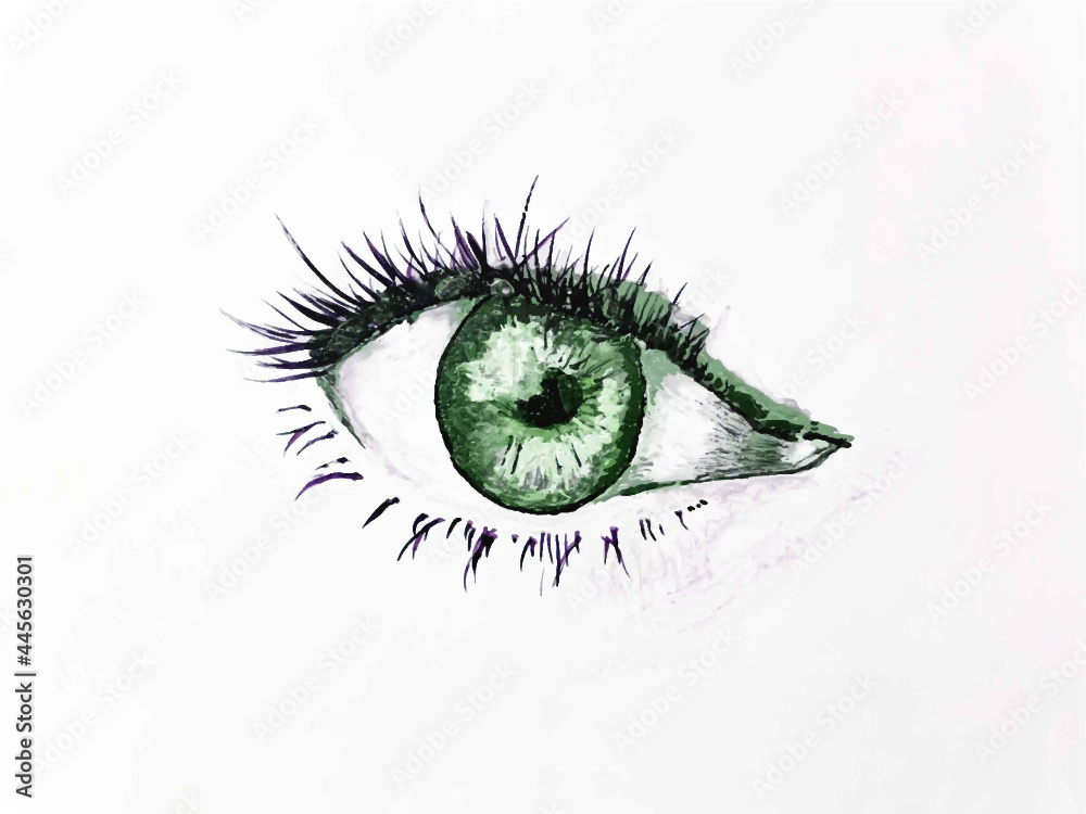 Grünes Auge, Illustration