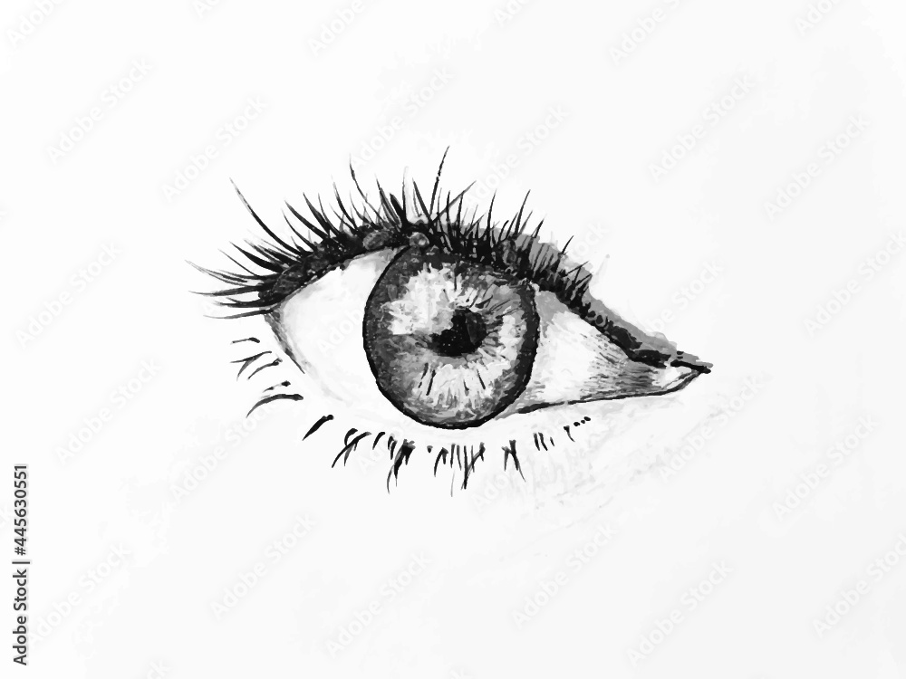 Fototapeta premium Auge, Schwarz-weiß, Illustration