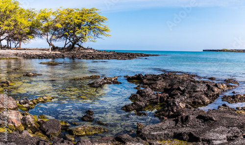 Fototapeta Naklejka Na Ścianę i Meble -  Kiholo Bay Surrounded By Ancient Lava Flows, Kiholo Bay, Hawaii Island, Hawaii, USA