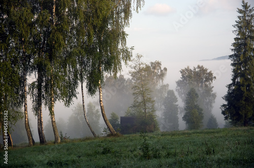 Fototapeta Naklejka Na Ścianę i Meble -  Polana z drewnianym domkiem wśród drzew spowita mgłą po wschodzie słońca	
