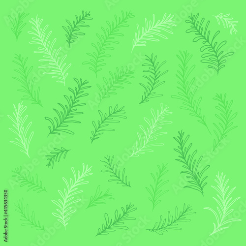 Doodle set of herbs on a green background isolated. Can be used for the design of stickers  packaging  logos  clothing  tags  cosmetic products