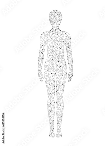 Woman body low poly wireframe vector illustration. Medicine, science and technology concept.