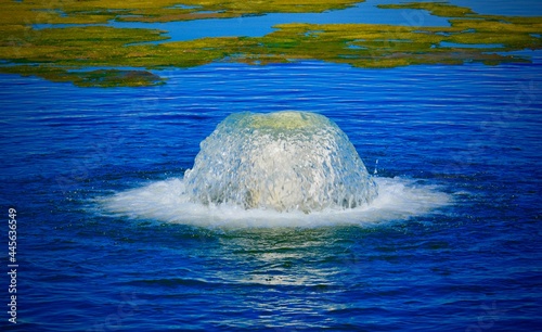 Water well discharge into a reservoir for farming almonds in California.    