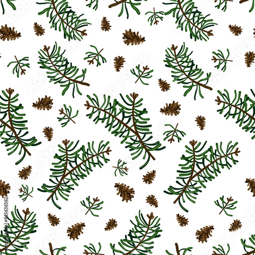 seamless pattern with fir branches, cones and forest plants, background with coniferous tree, stylized vector graphics