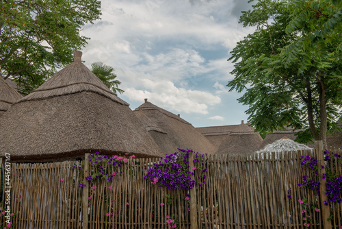 typical residence of Venetian fishermen photo