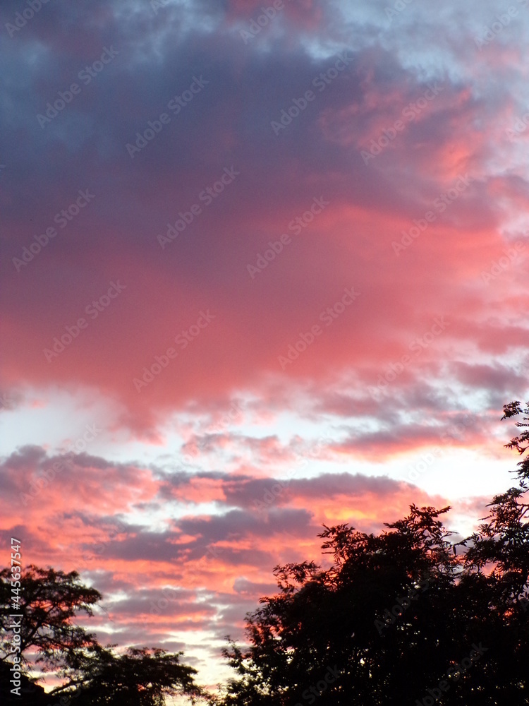 Fototapeta premium KODAK Digital Still Camera