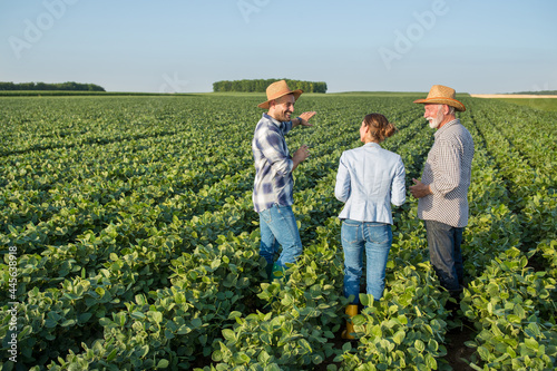 Woman agronomist and two male farmers walking in soy field talking. photo