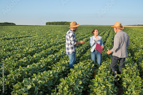 Fototapeta Female insurance sales rep and two farmers standing in soy field talking