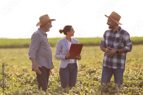 Three people standing in soy field discussing agriculture at sundown. photo