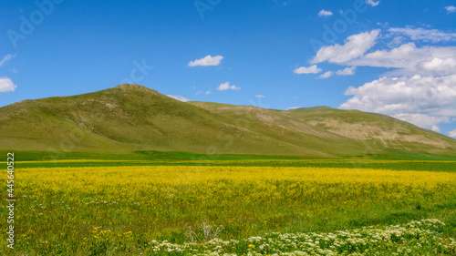 Hills of Armenia.                          