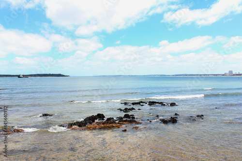 Fototapeta Naklejka Na Ścianę i Meble -  rocky beach and sea under a blue sky in Punta del Este Uruguay