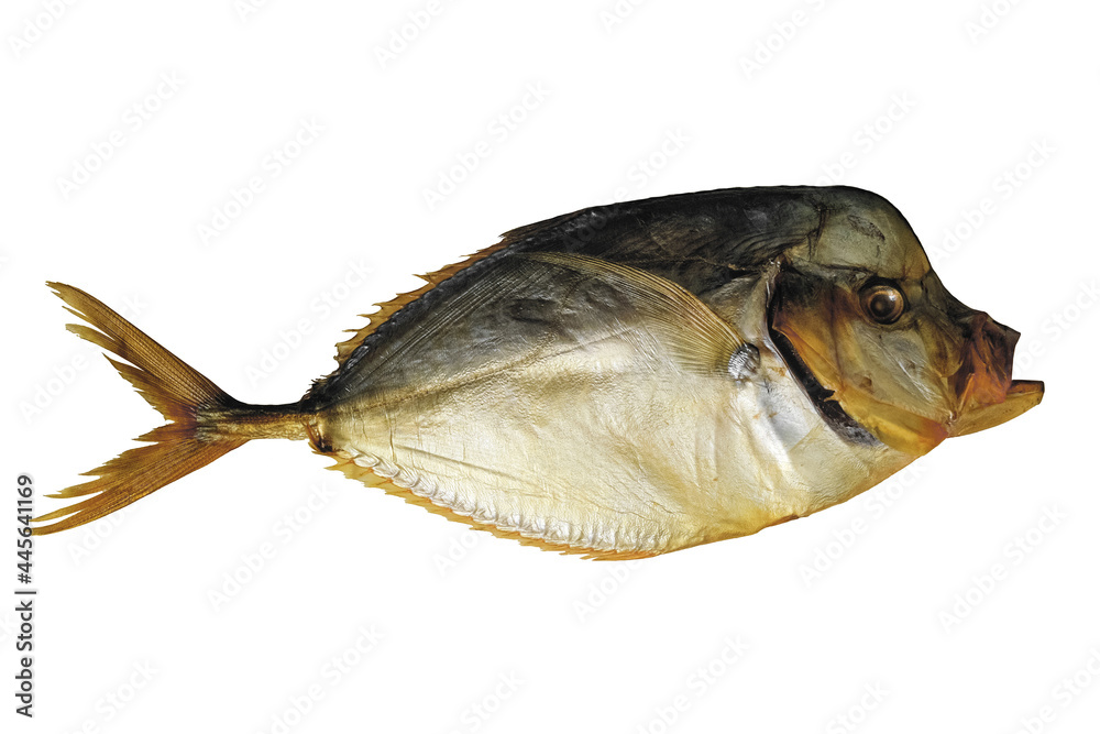 Dried salted vomer fish isolated on white background Stock Photo
