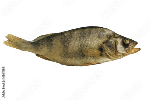 Dried salted freshwater predatory fish perch isolated on white background