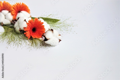Φωτογραφία a beautiful combination of orange gerbera boxes of white cotton green ears flowe