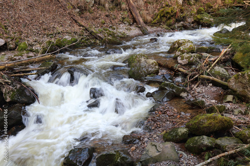 Landschaft Schwarzwald - Ravennaschlucht / Landscape Black Forest - Ravenna Gorge /