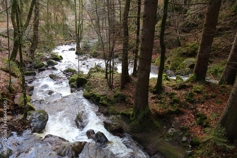 Obraz premium Landschaft Schwarzwald - Ravennaschlucht / Landscape Black Forest - Ravenna Gorge /