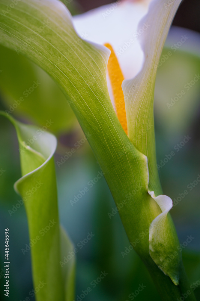 Obraz premium Travel