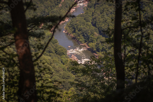 New River and Surrounding Mountains Seen From 1000 Feet up on the Endless Wall Trail in New River Gorge National Park