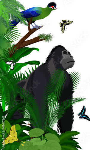 Vector jungle rainforest foliage vertical border illustration with male gorilla, Hartlaub's turaco and broadly green-banded swallowtail butterfly 